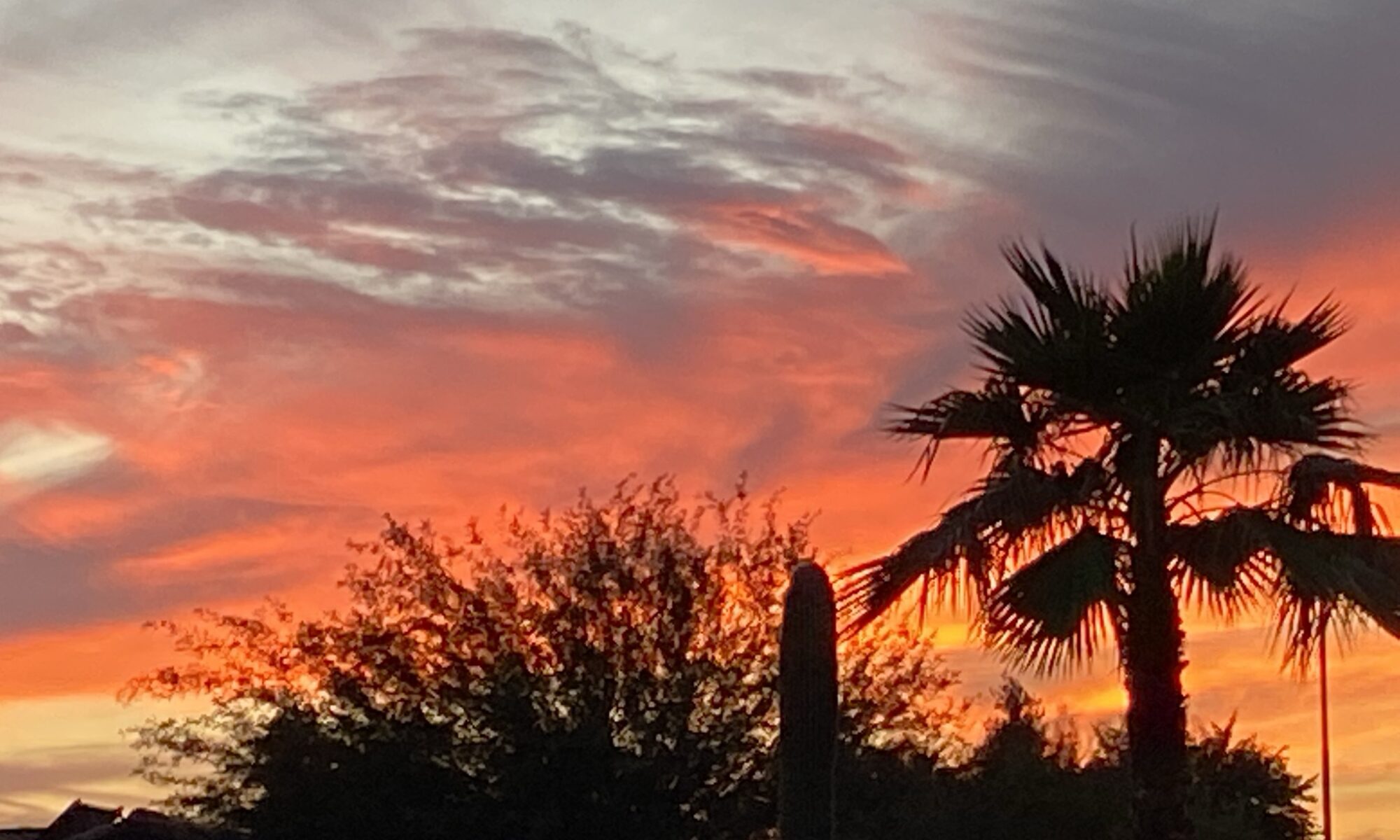 Scottsdale Sunset